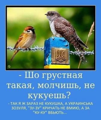 Прикрепленное изображение: Кукушка зозуля.jpg